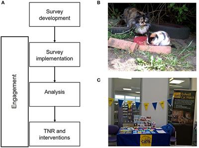 Integrating Trap-Neuter-Return Campaigns Into a Social Framework: Developing Long-Term Positive Behavior Change Toward Unowned Cats in Urban Areas